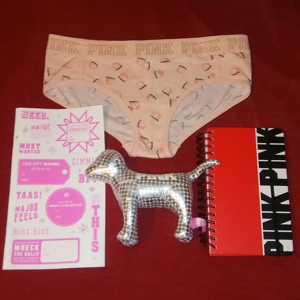 Victoria's Secret PINK lot
